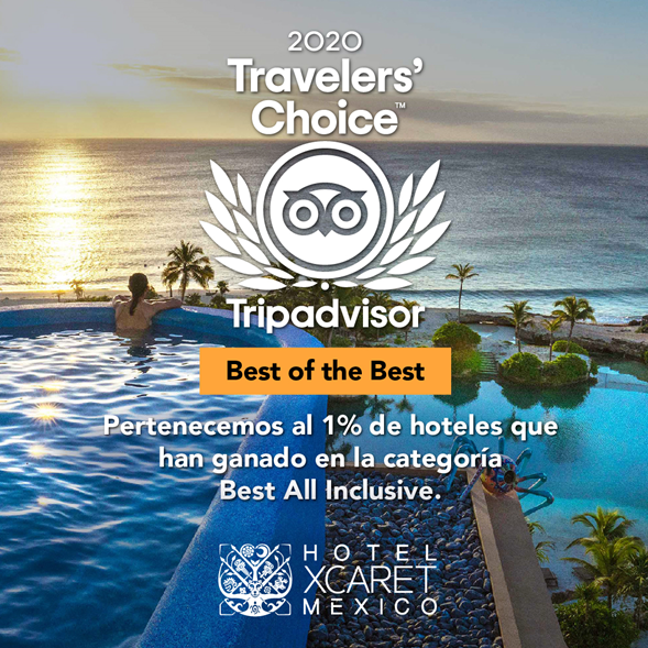 Trip Advisor | México Destination Club